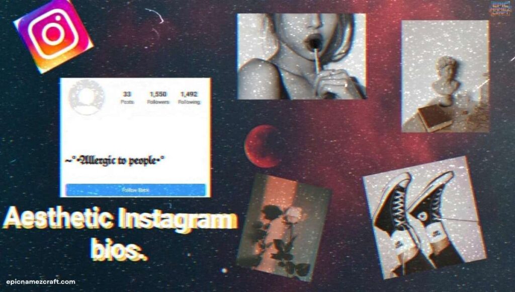 aesthetic-2-line-instagram-bio-ideas