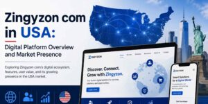 zingyzon.com in usa